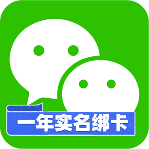 【支付级权重王者】一年实名绑卡微信号 | 0违规纯净老号 / 稳定可收付款 / API 接口秒级换绑手机 / 跨境获客与私域支付巅峰资产 - 好多号 - 商品图片