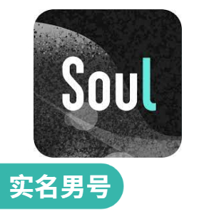 【引流高权重】Soul 实名认证男号 | 纯净实卡注册/新号初始/支持 API 接码换绑/高成活不封号/即买即用 - 好多号 - 商品图片
